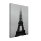 313ddc00-d52d-4bd1-8559-1833cda0d14a