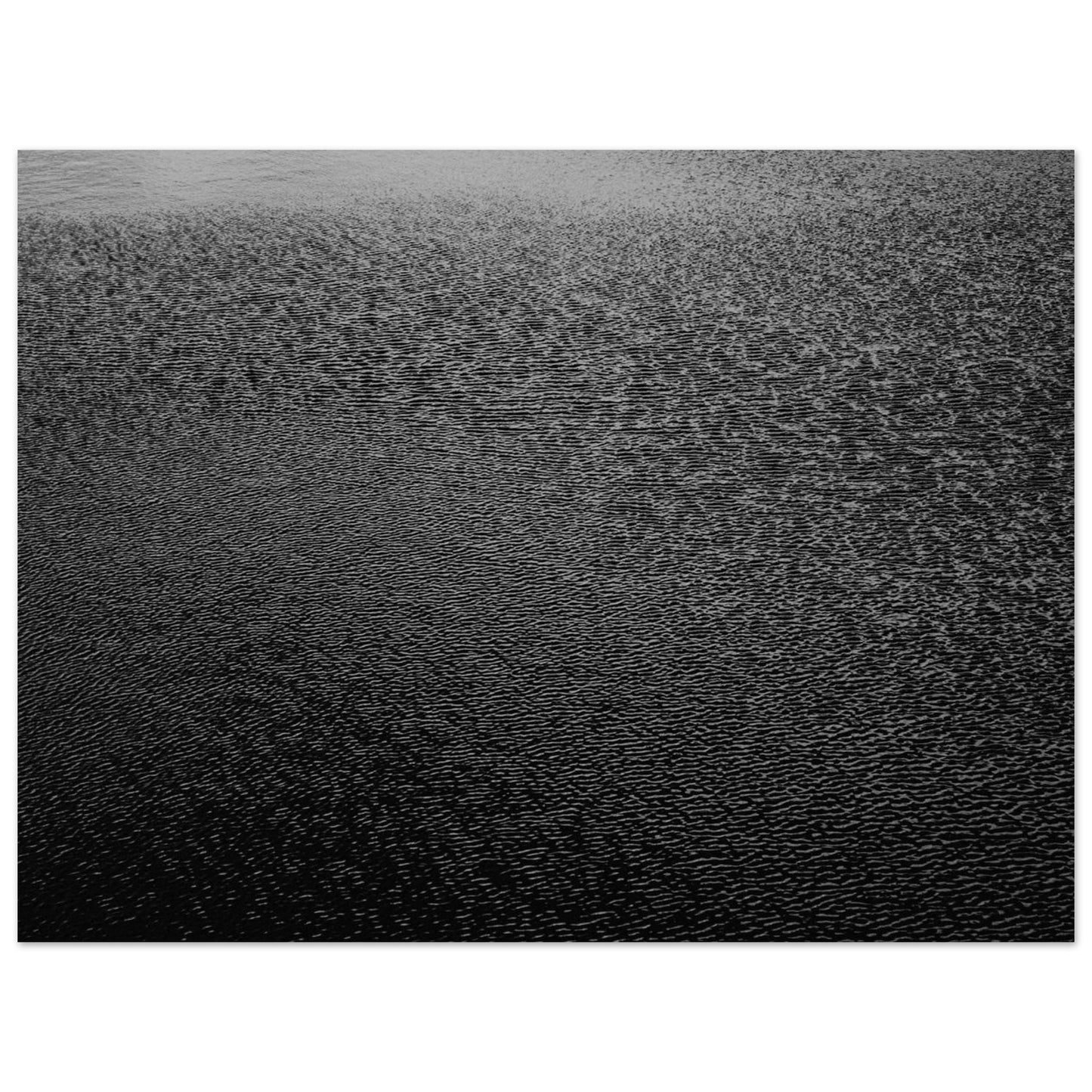 31683c87-ceab-4ed9-95ee-9f2aee792161