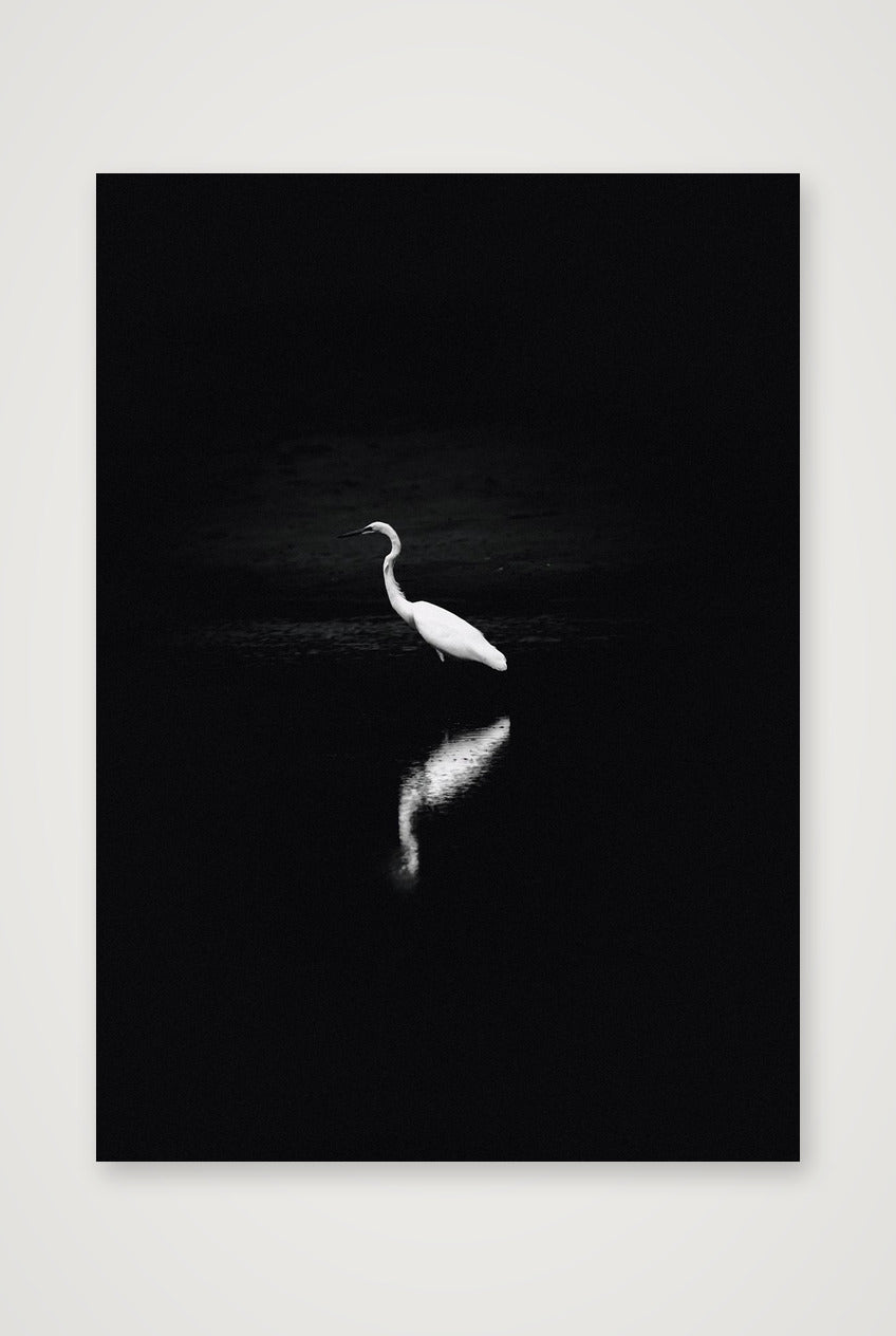 492 — 42×59cm, 17×23" Print only