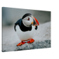 319d81b9-0173-4506-ae03-82c580ca8e13
