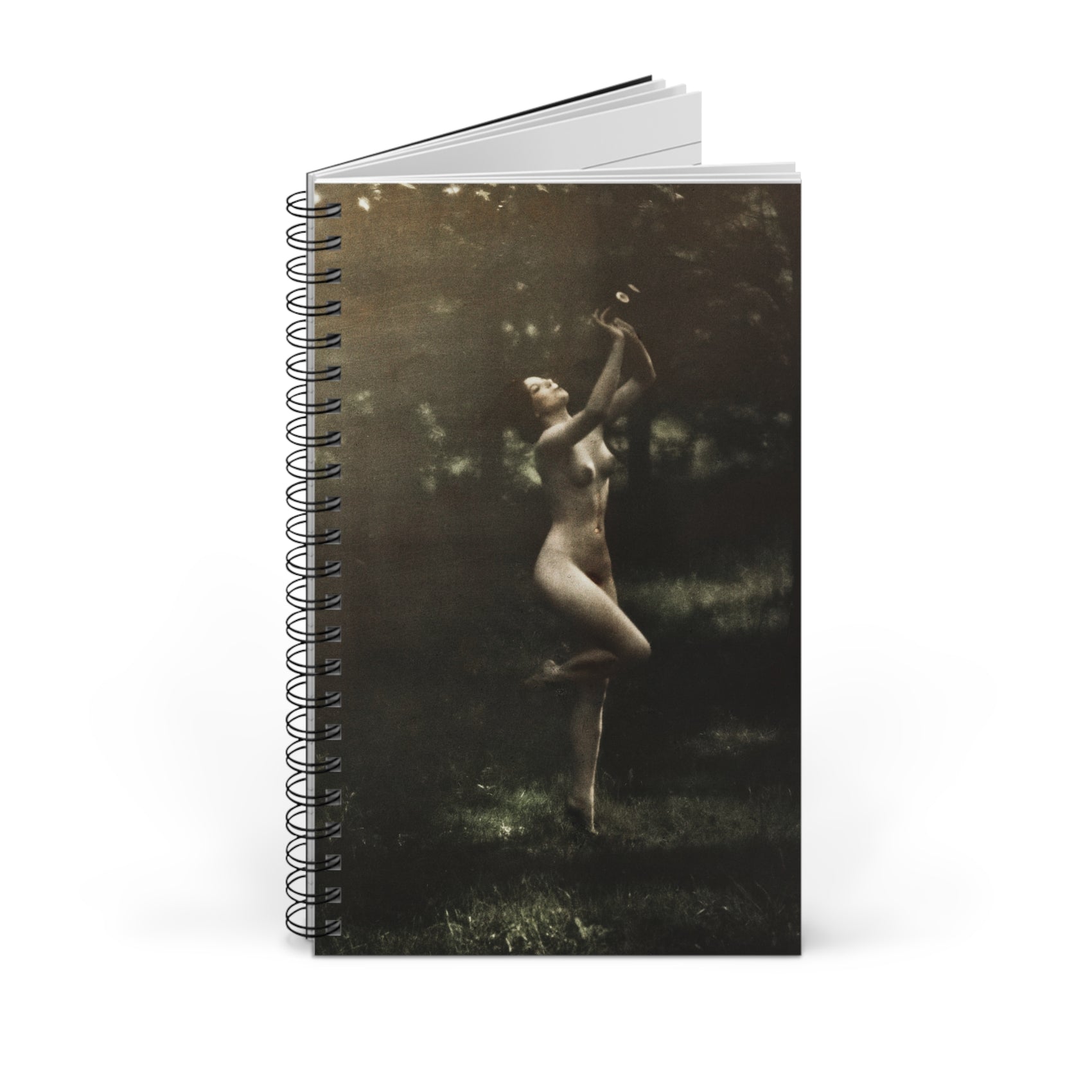 Spiral Notebook Dark Academia Gift Writer Desk Companion Literary Journal Gothic Stationery Book Club Present Creative Workspace Diary
