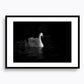 Graceful swan gliding through the calm waters at dusk in Interlarken, Switzerland #32