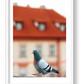 468 — framed