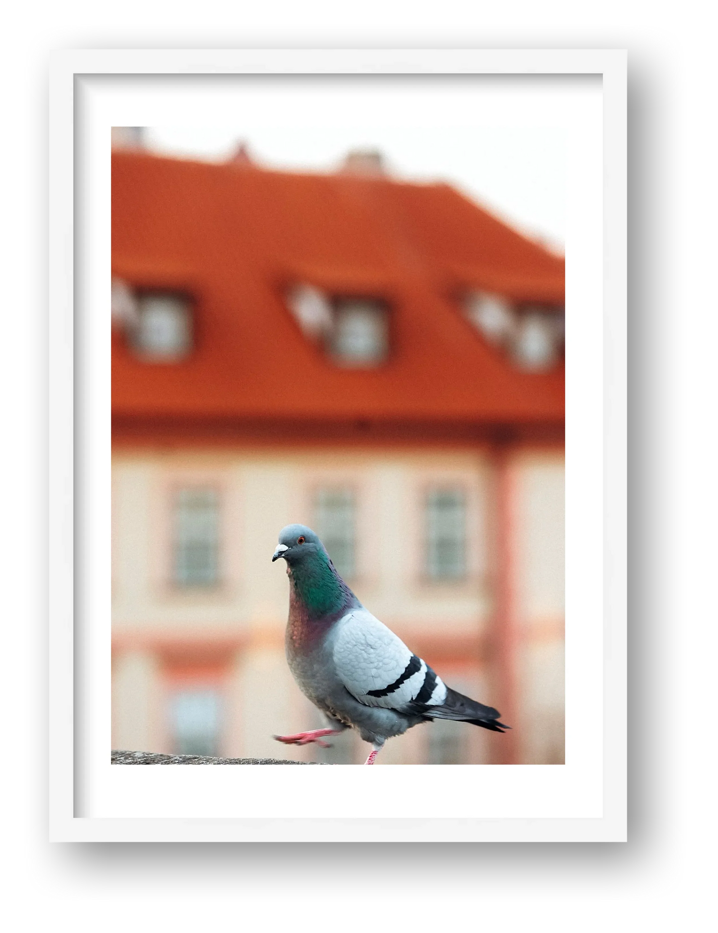 468 — framed