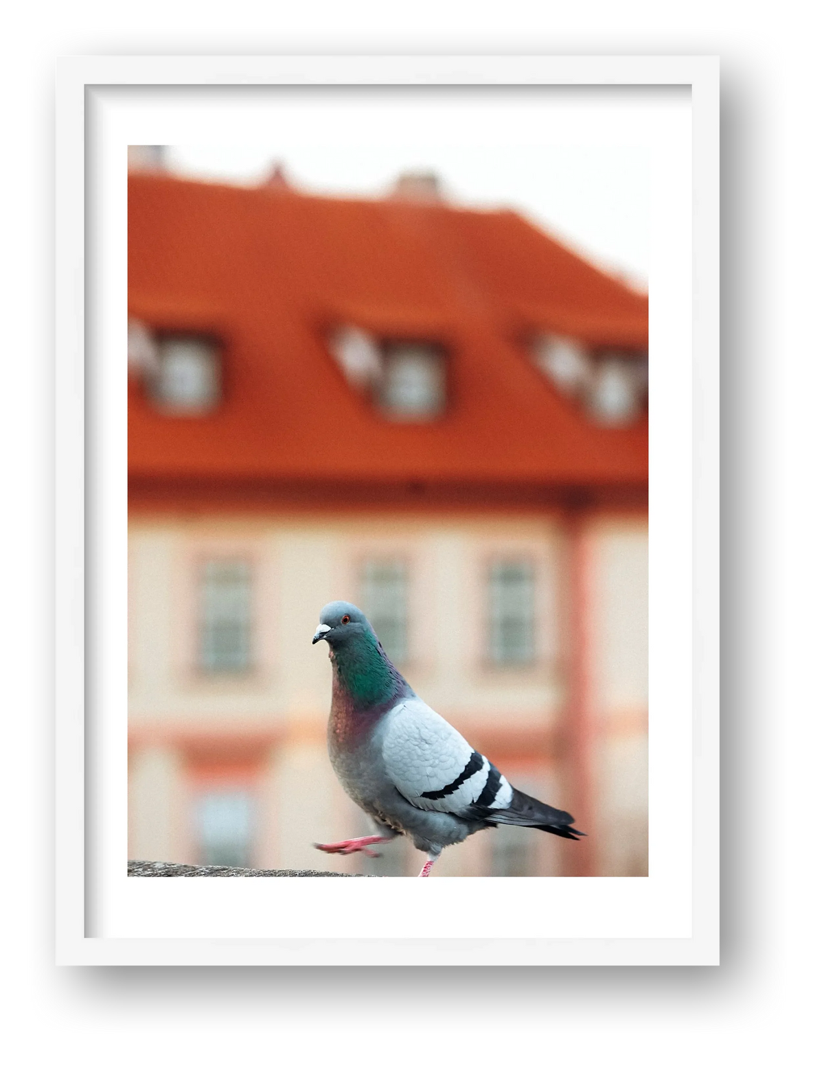 468 — framed