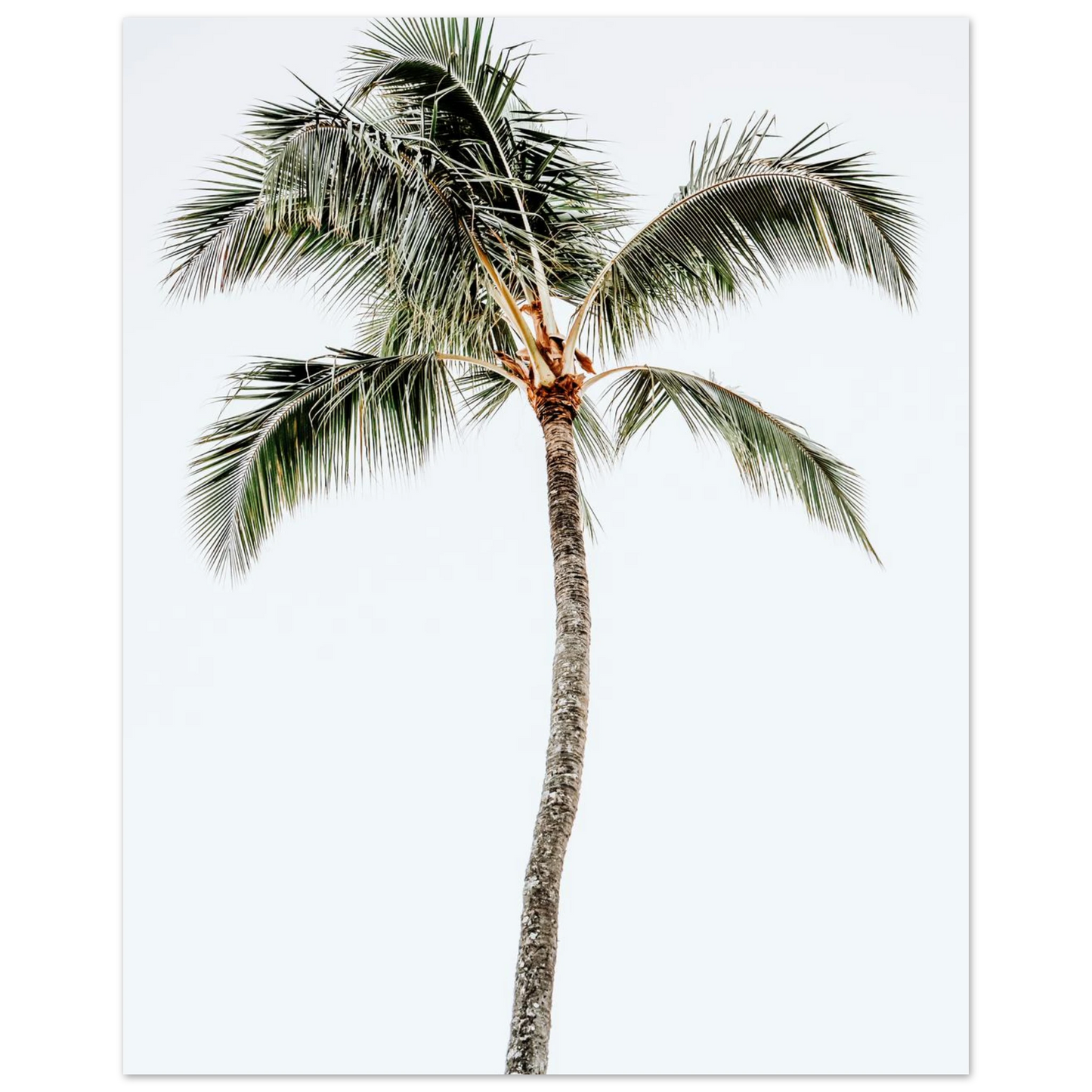 3367f986-5dfc-42ec-bdf7-694ea70d8e53
