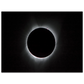 33ef417d-34c0-4168-9b7e-242cf7229167
