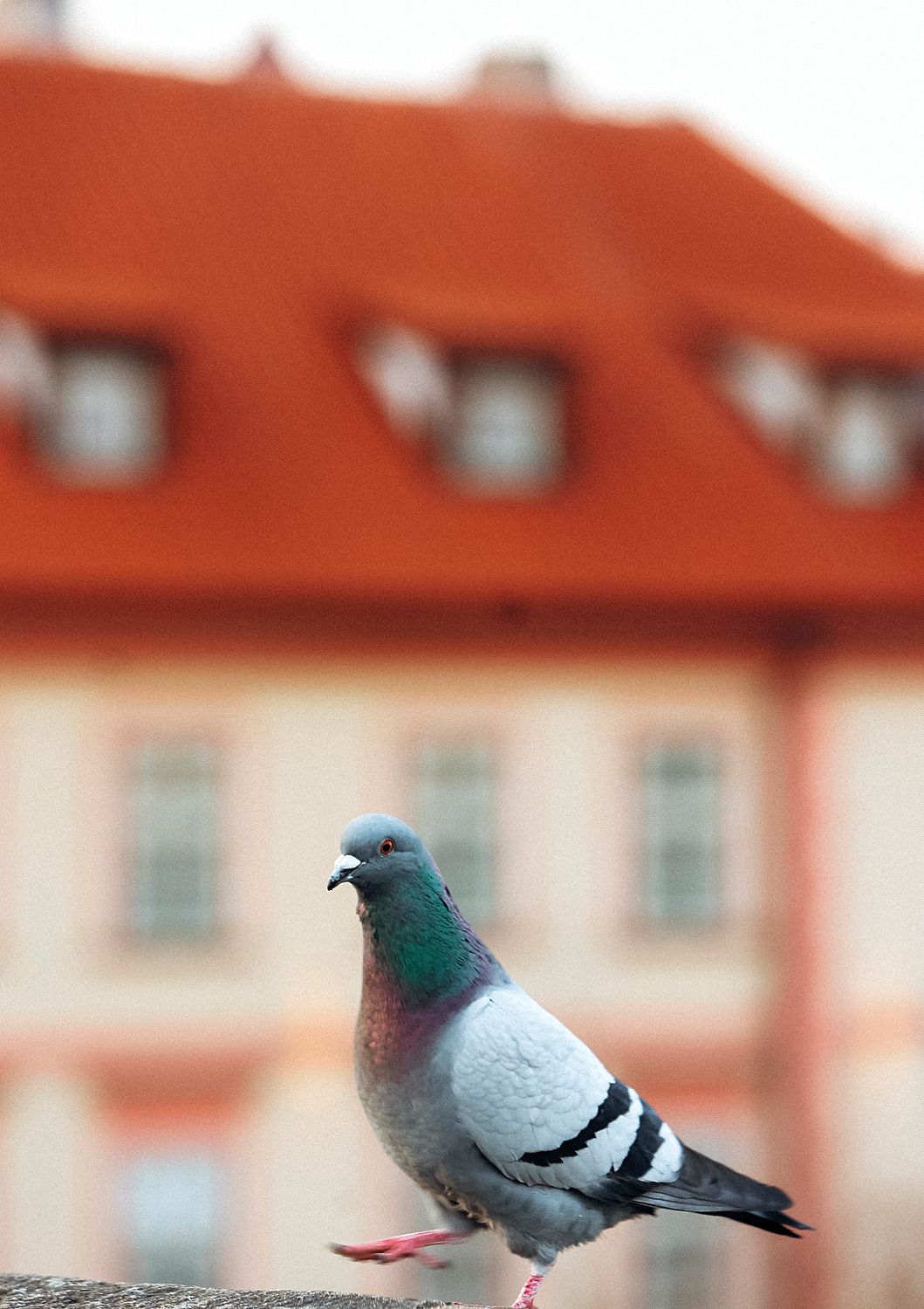 468