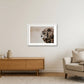 486 — 59×42cm, 23×17" White Frame