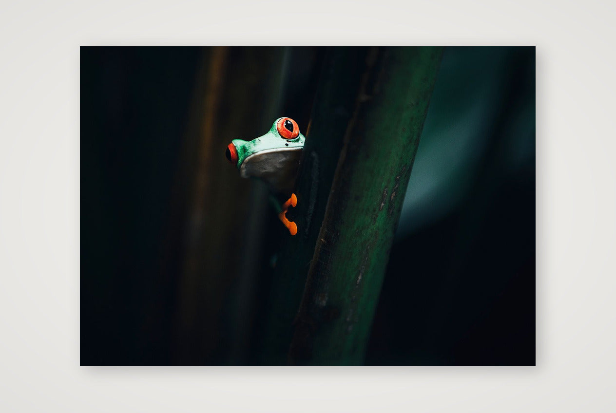 501 — 84×59cm, 33×23" Print only