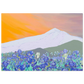 363d7cbe-a7a7-4ec3-9001-0a176f8885f9