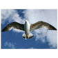 36a858fb-702e-437b-89c1-b26beecde388