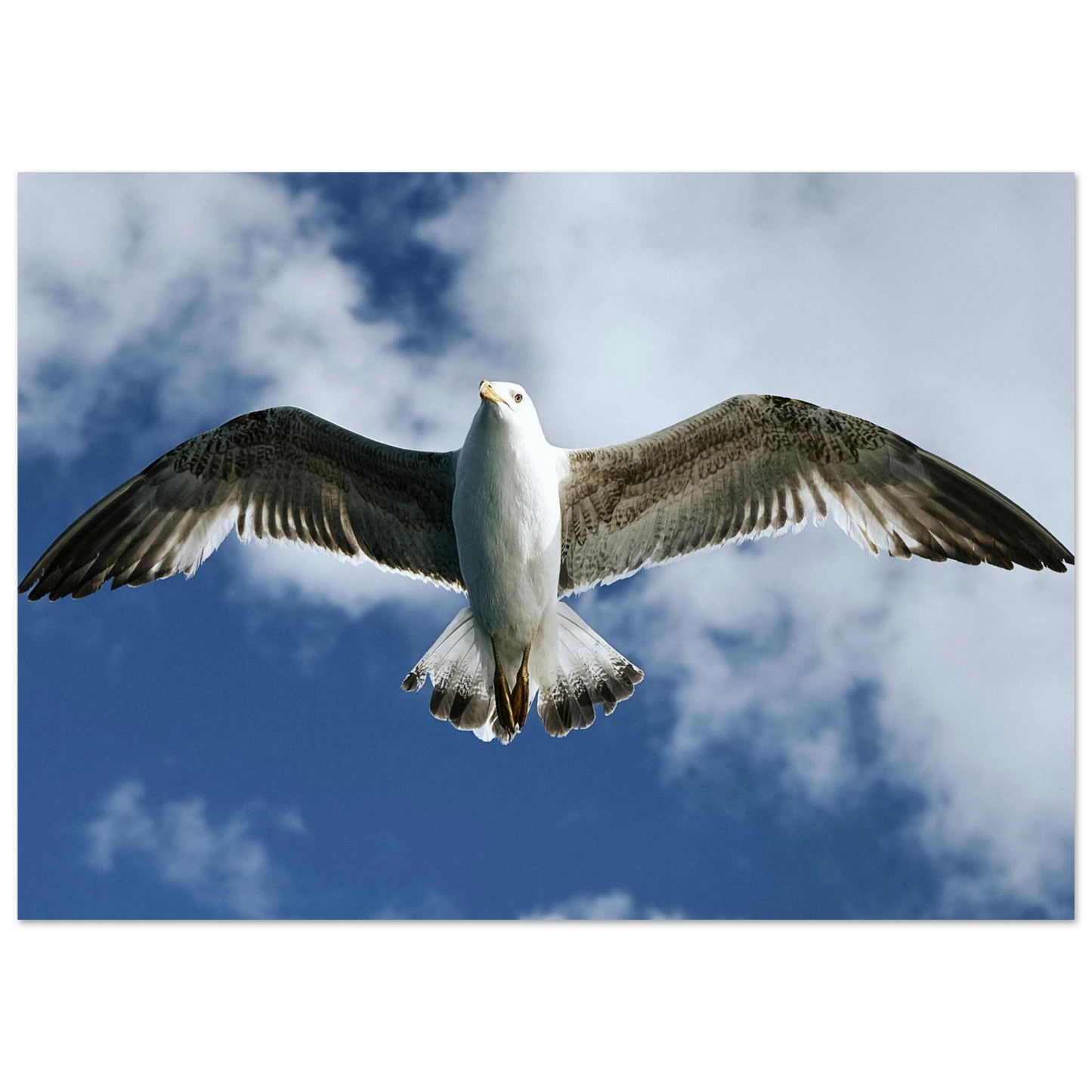 36a858fb-702e-437b-89c1-b26beecde388