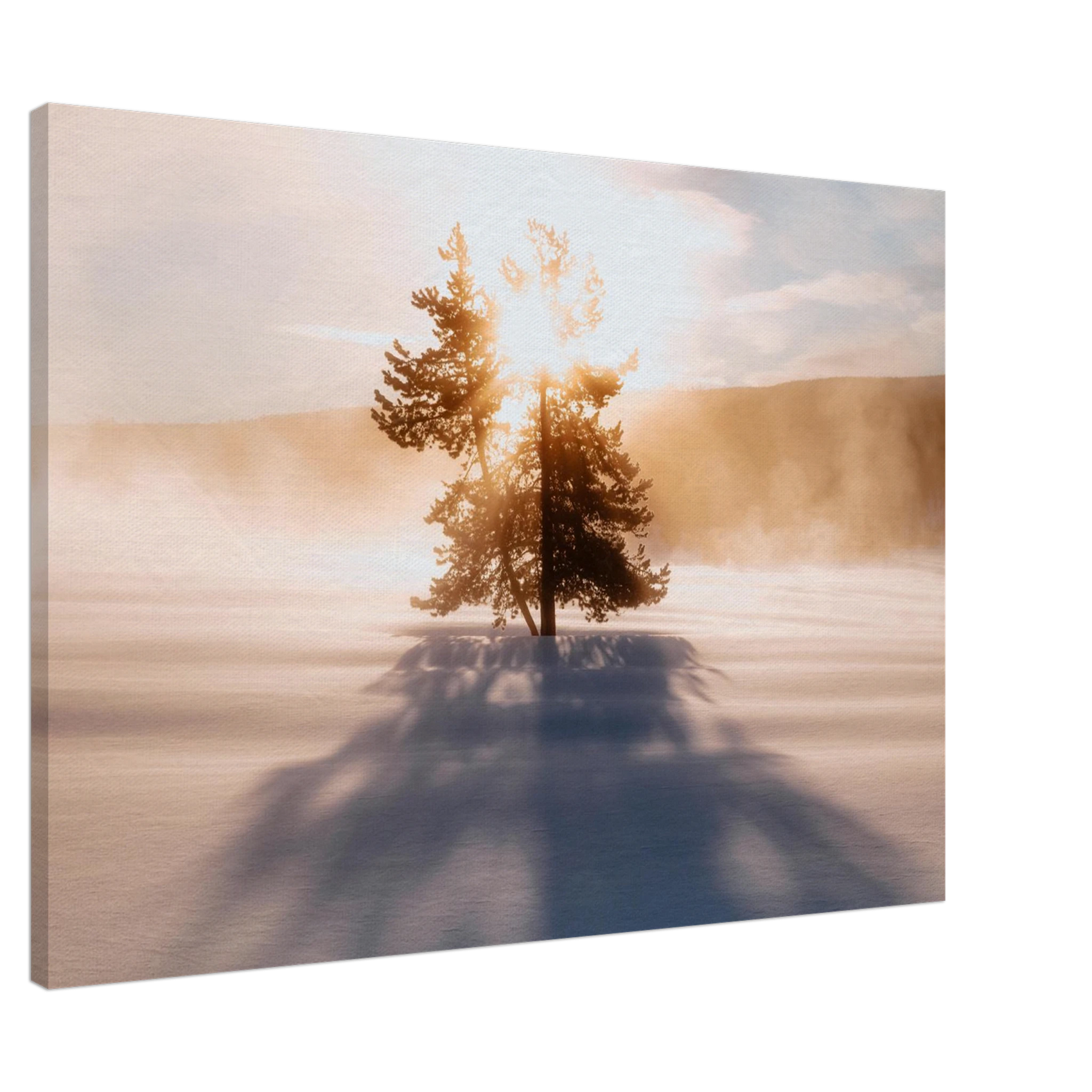 CANVAS - PD_Winter's Radiance: Lone Tree Sunset Canvas Print in Various Sizes