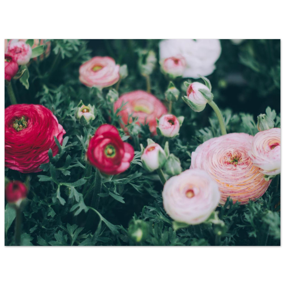 3720b539-ec51-437d-b17f-9cf50ce15fff