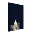 37737706-4abe-4f3c-98ca-c3105a46b89c