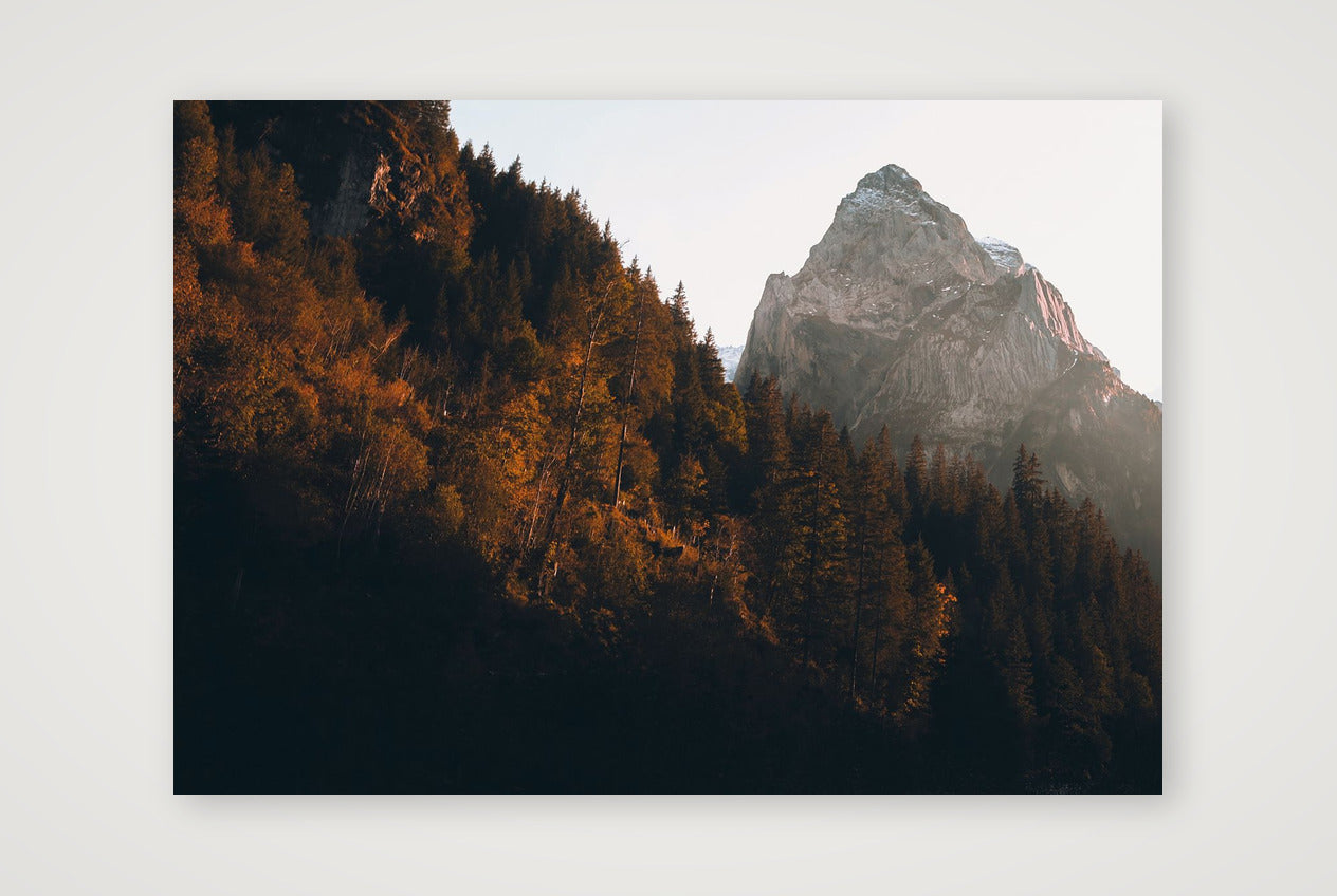 1285 — 84×59cm, 33×23" Print only