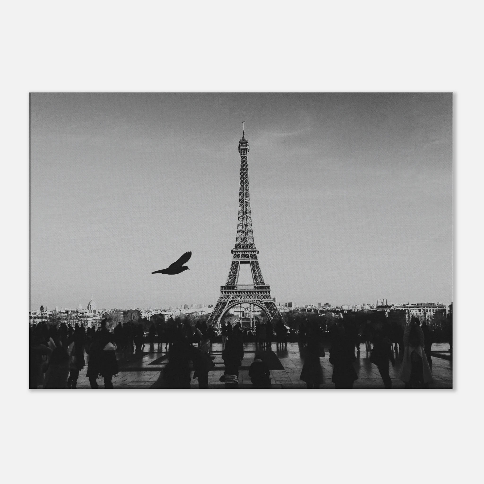 3805dc60-8f22-4ee7-83a2-c662c139aa0c