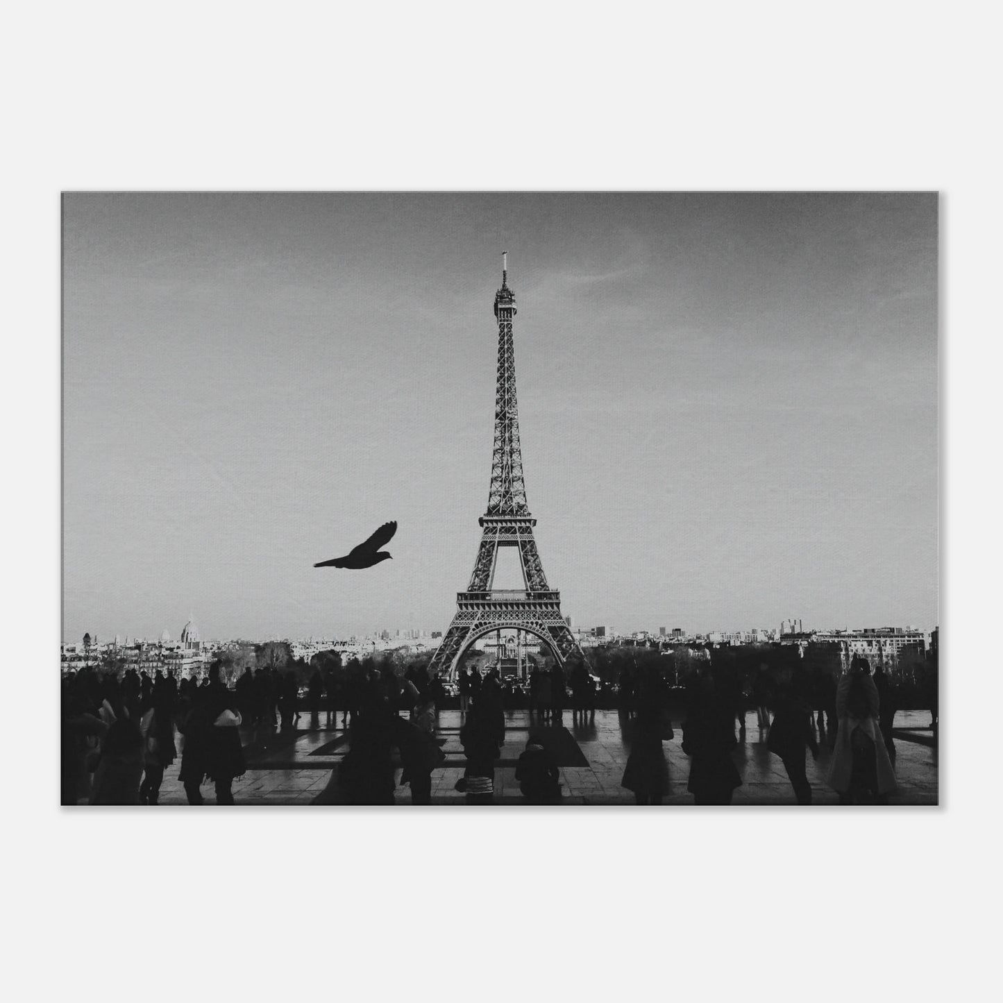3805dc60-8f22-4ee7-83a2-c662c139aa0c