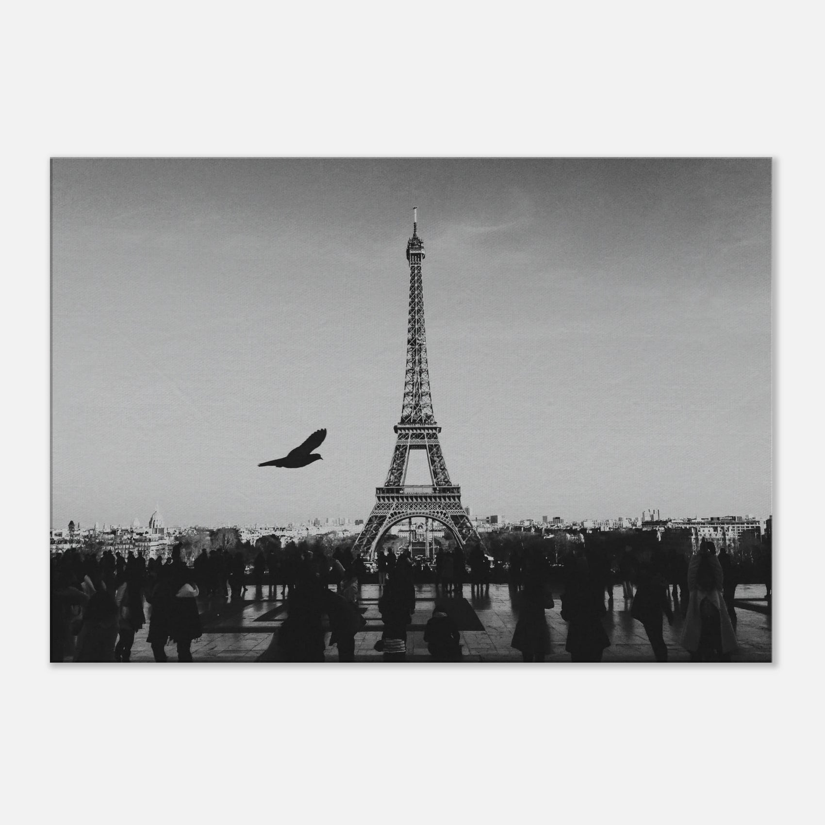 3805dc60-8f22-4ee7-83a2-c662c139aa0c