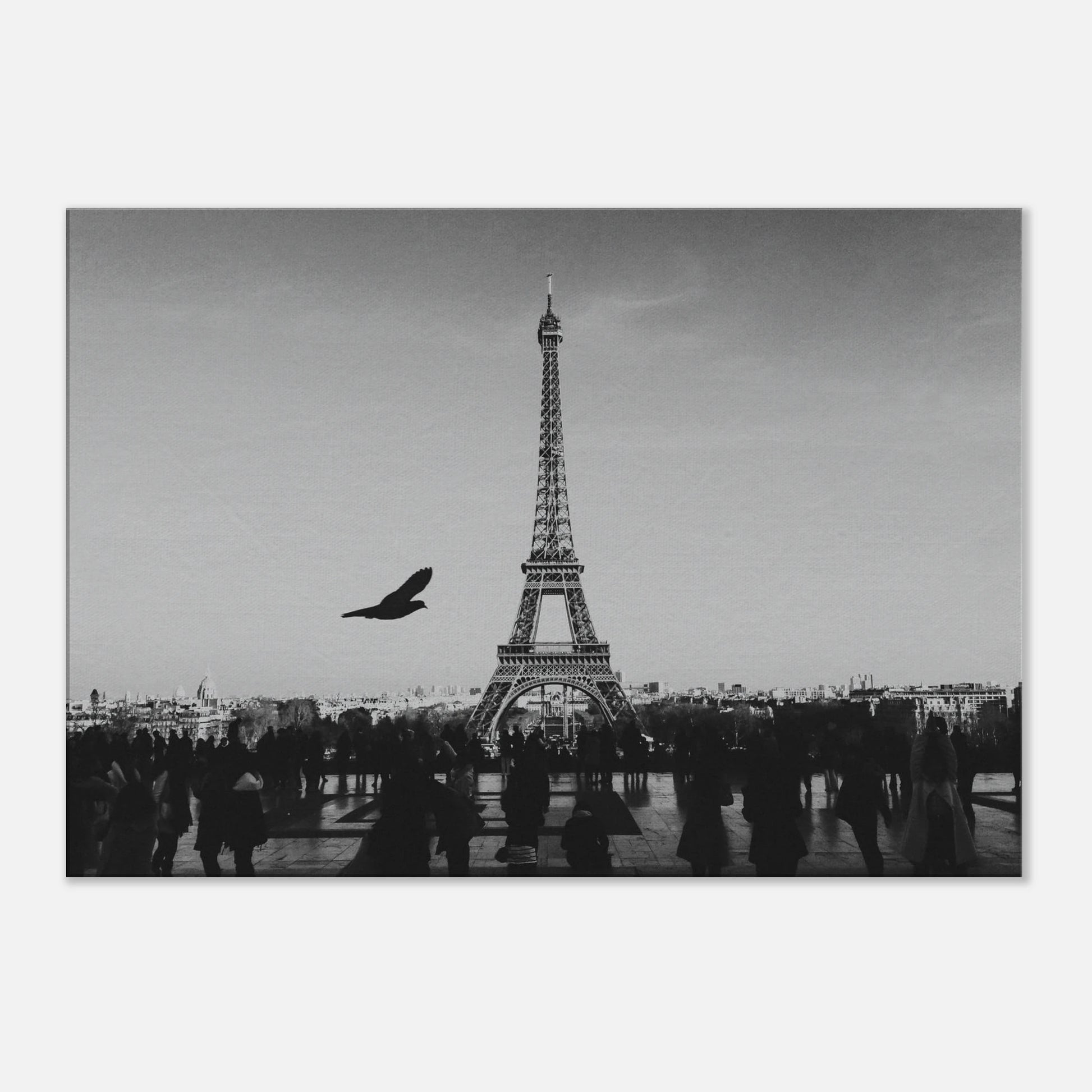 3805dc60-8f22-4ee7-83a2-c662c139aa0c