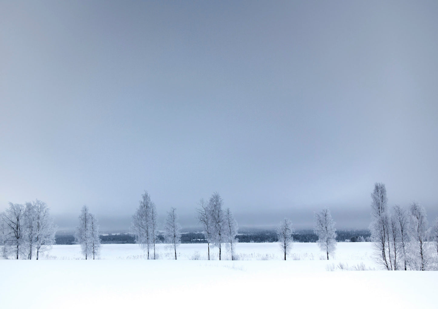 Peaceful winter in Lapland's beauty #38