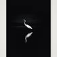 492 — A3 (30×42cm, 12×17") Print only