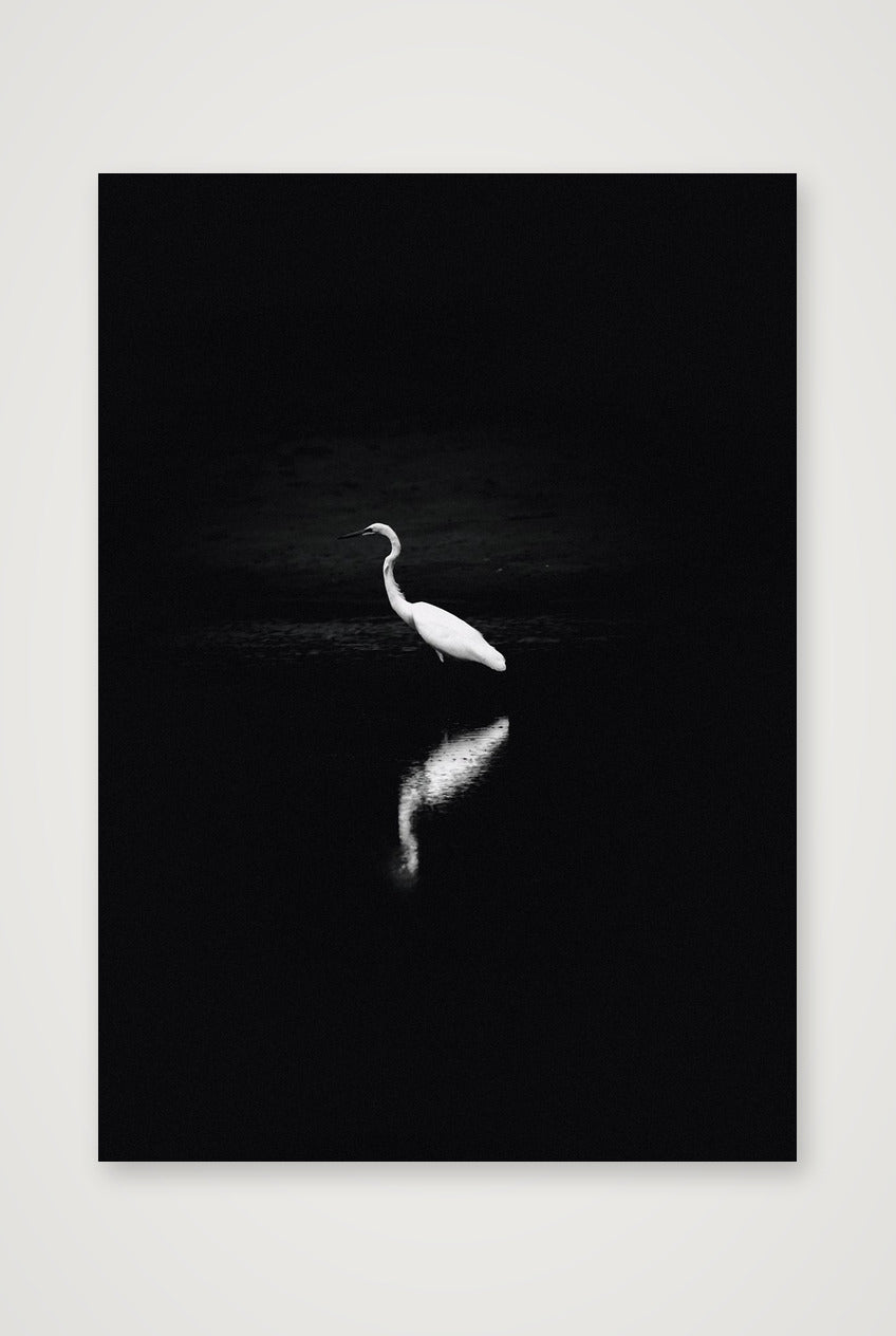 492 — A3 (30×42cm, 12×17") Print only