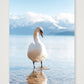 487 — 59×84cm, 23×33" Print only