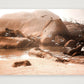 447 — 59×42cm, 23×17" Print only