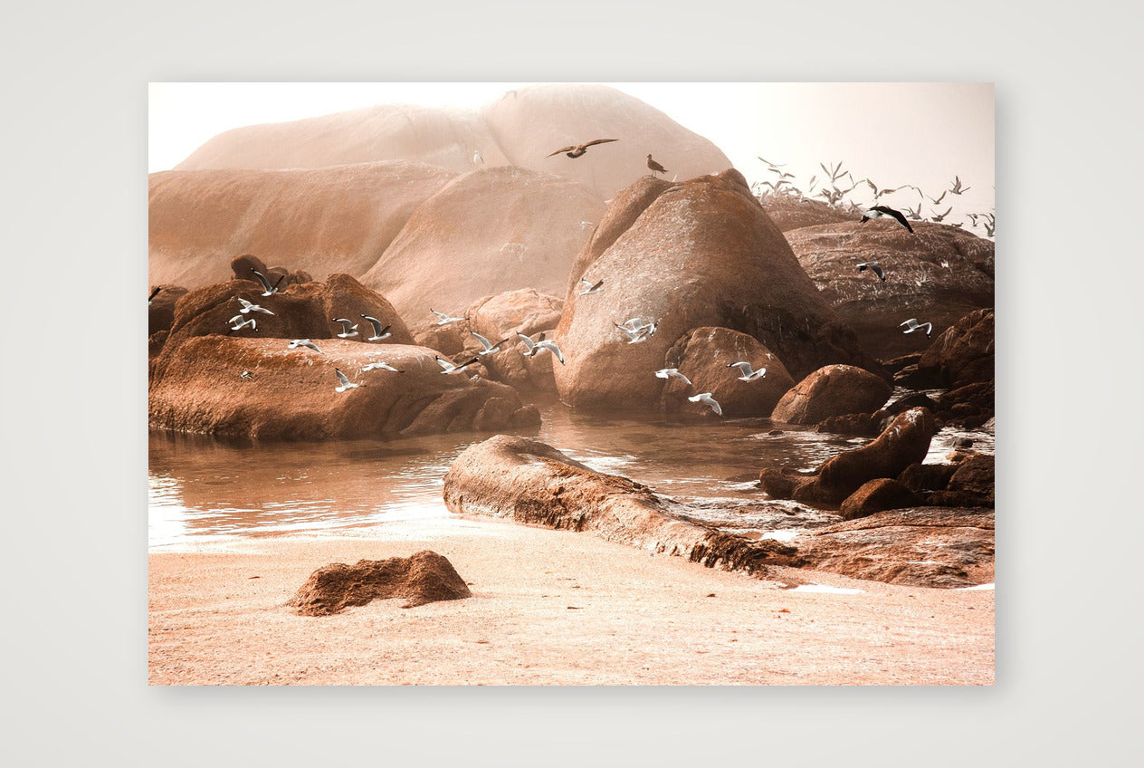 447 — 59×42cm, 23×17" Print only