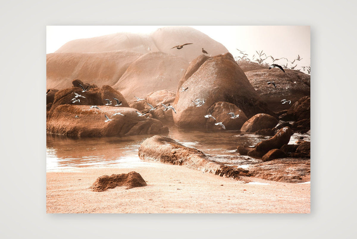 447 — 59×42cm, 23×17" Print only