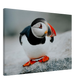 3b54fc7a-c673-4f00-96ac-a63c0ee42460