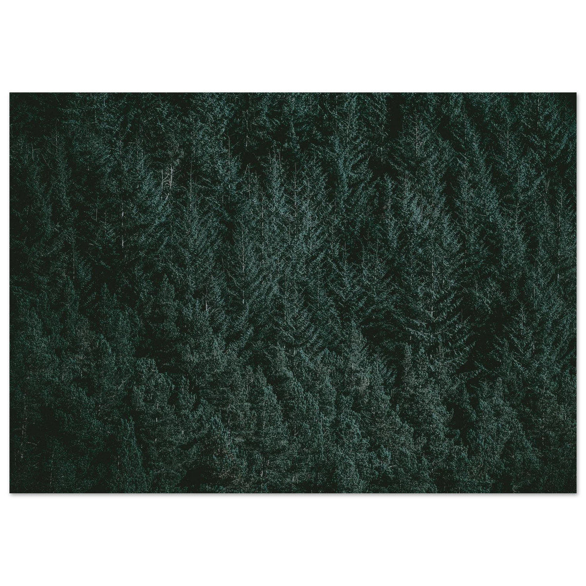 3bb2d7d1-0046-45ca-a41e-454441735337