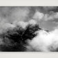 82 — 59×42cm, 23×17" Print only