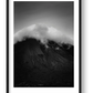 1297 — framed
