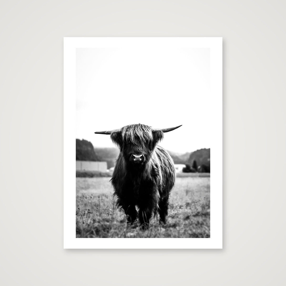 102  — 60×80cm, 24×31" Print only
