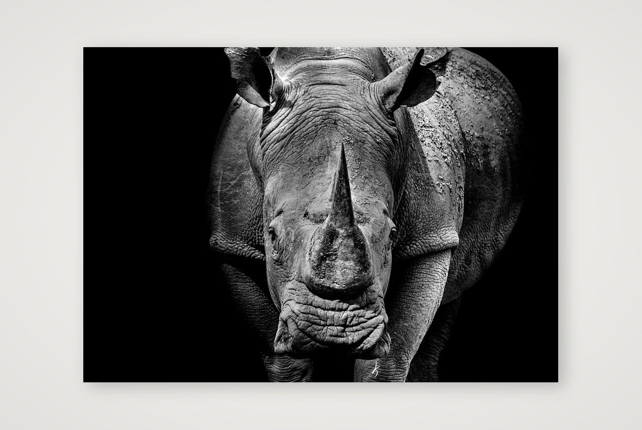 136 — A4 (30×21cm, 12×8") Print only