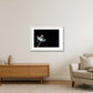 24 — 59×42cm, 23×17" White Frame