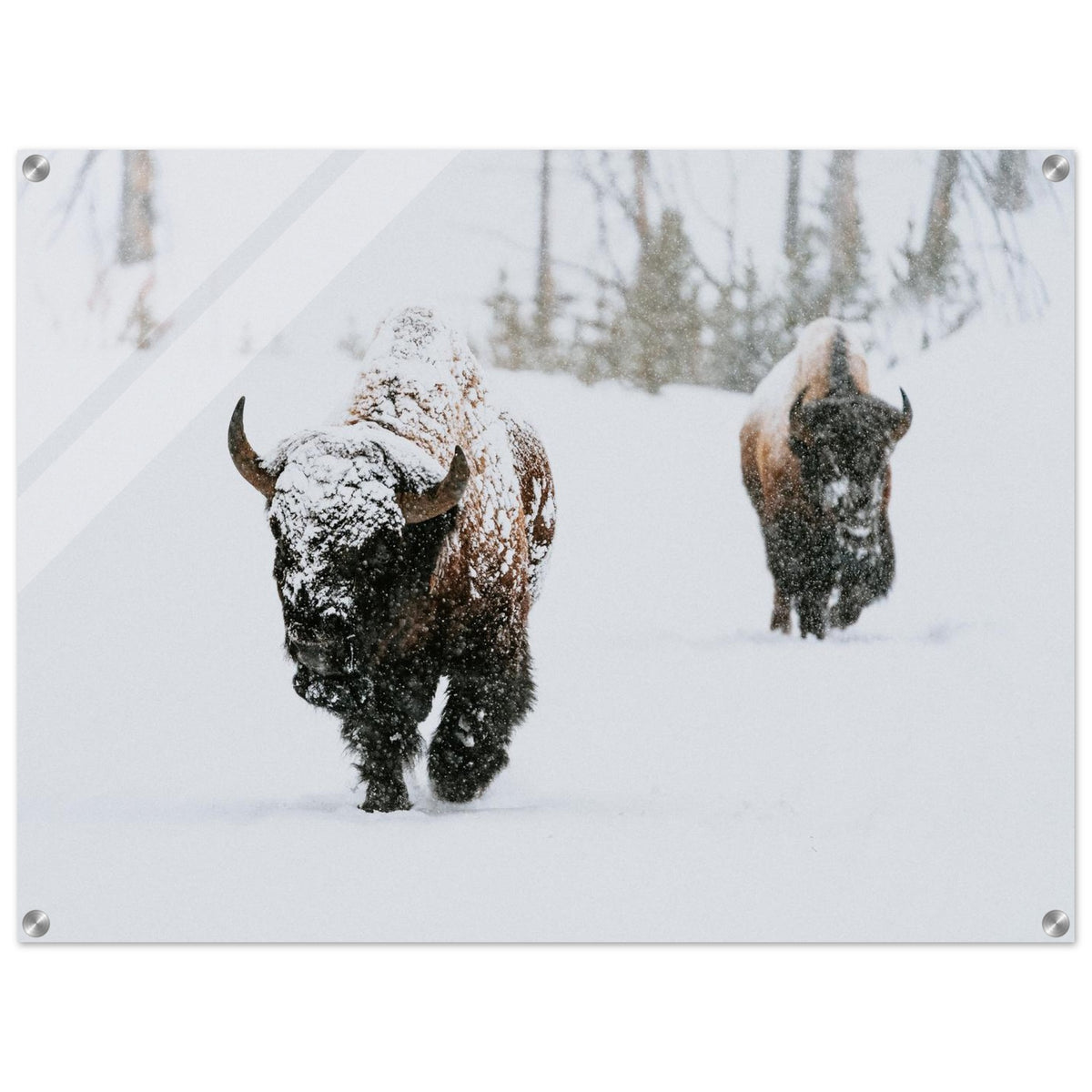 3f17d896-c9ec-4813-b924-776da4148e18