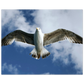 3f7b1730-6cb6-412a-8f07-4d74b1263de0