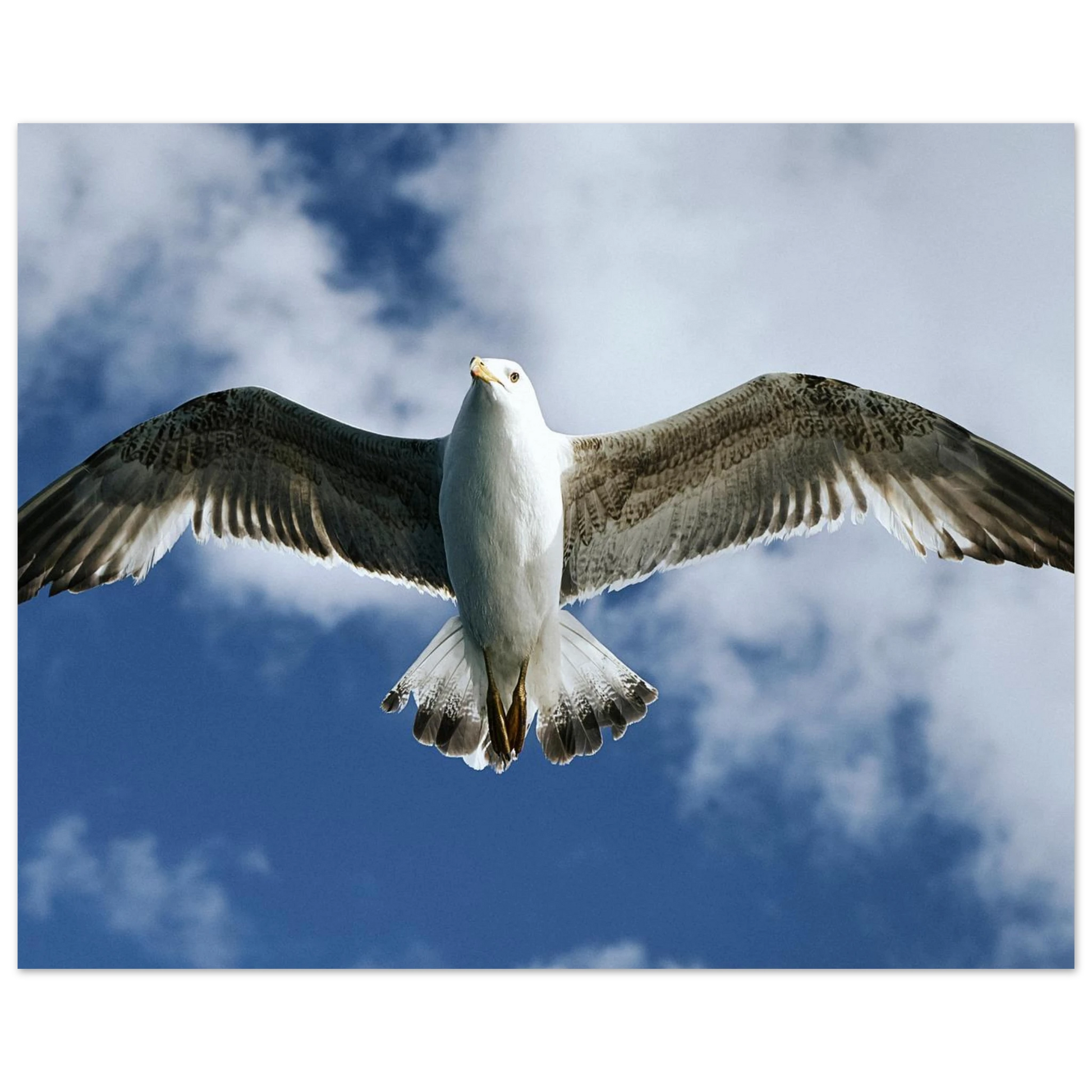 3f7b1730-6cb6-412a-8f07-4d74b1263de0