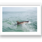 474 — framed