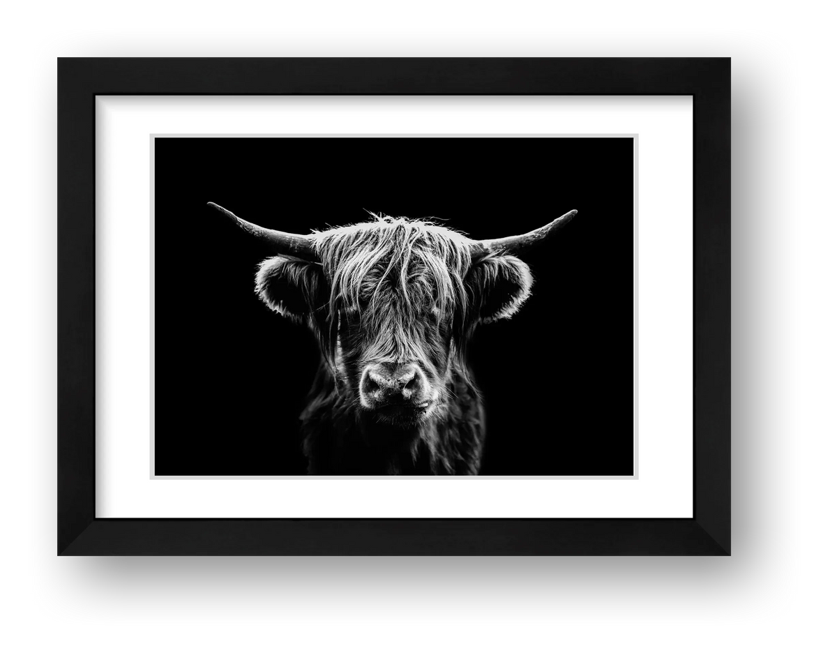 107  — framed