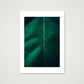 11 — 42×59cm, 17×23" Print only