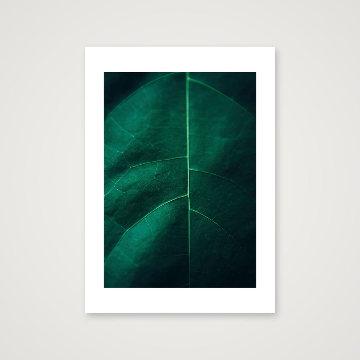 11 — 42×59cm, 17×23" Print only
