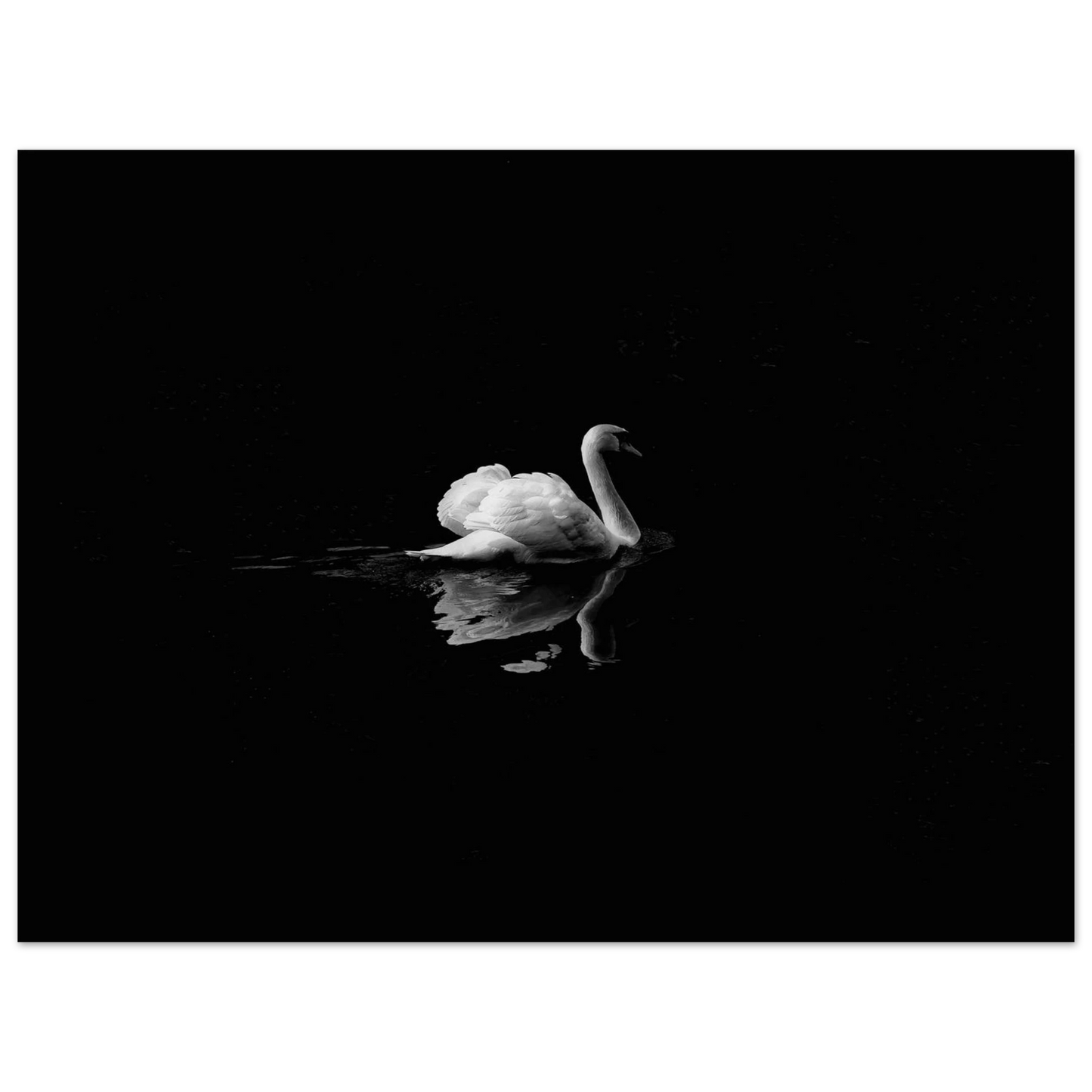 4147084d-3acb-426b-a8f9-1f0cc2a30307