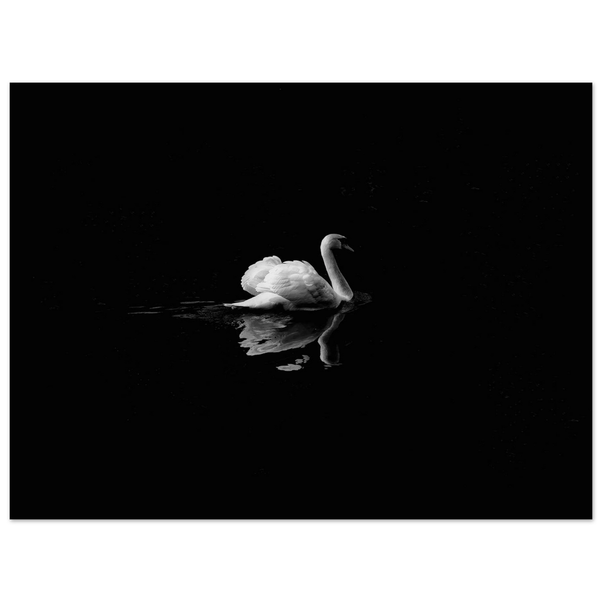 4147084d-3acb-426b-a8f9-1f0cc2a30307