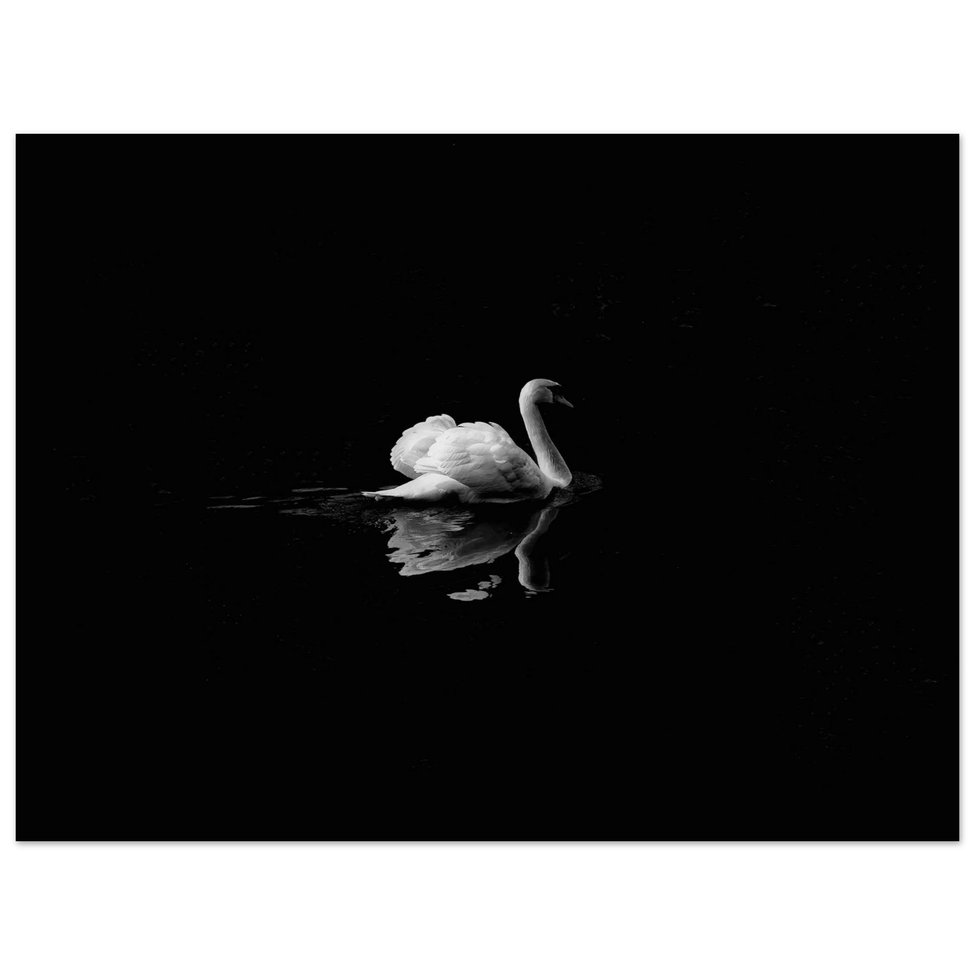 4147084d-3acb-426b-a8f9-1f0cc2a30307