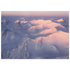 4171e3f7-e992-4509-bfc1-db89e3771c73